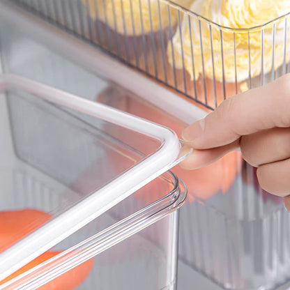 Transparent Fridge Organizer Food Storage